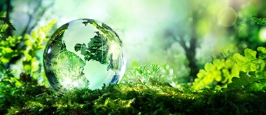 A importância de ter em conta todo o ciclo de vida para fomentar a transformação digital e a sustentabilidade 