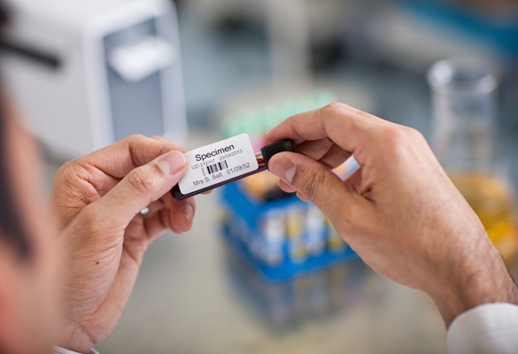 Etiquetas Brother para identificação correta em laboratórios